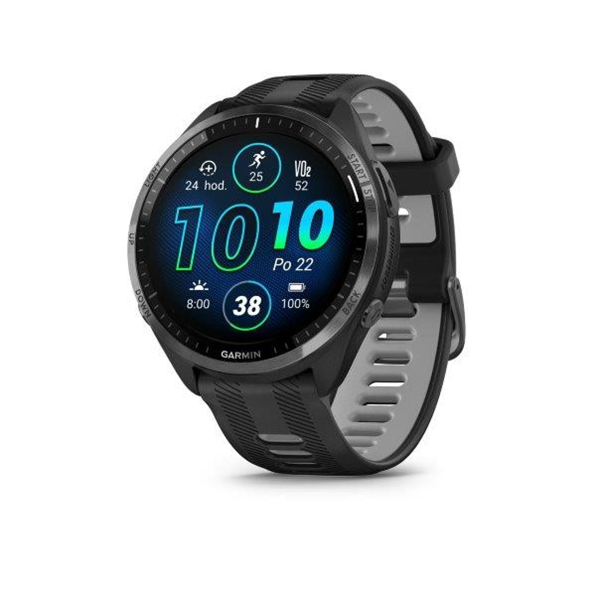 Garmin Forerunner 965 Black/Powder Gray