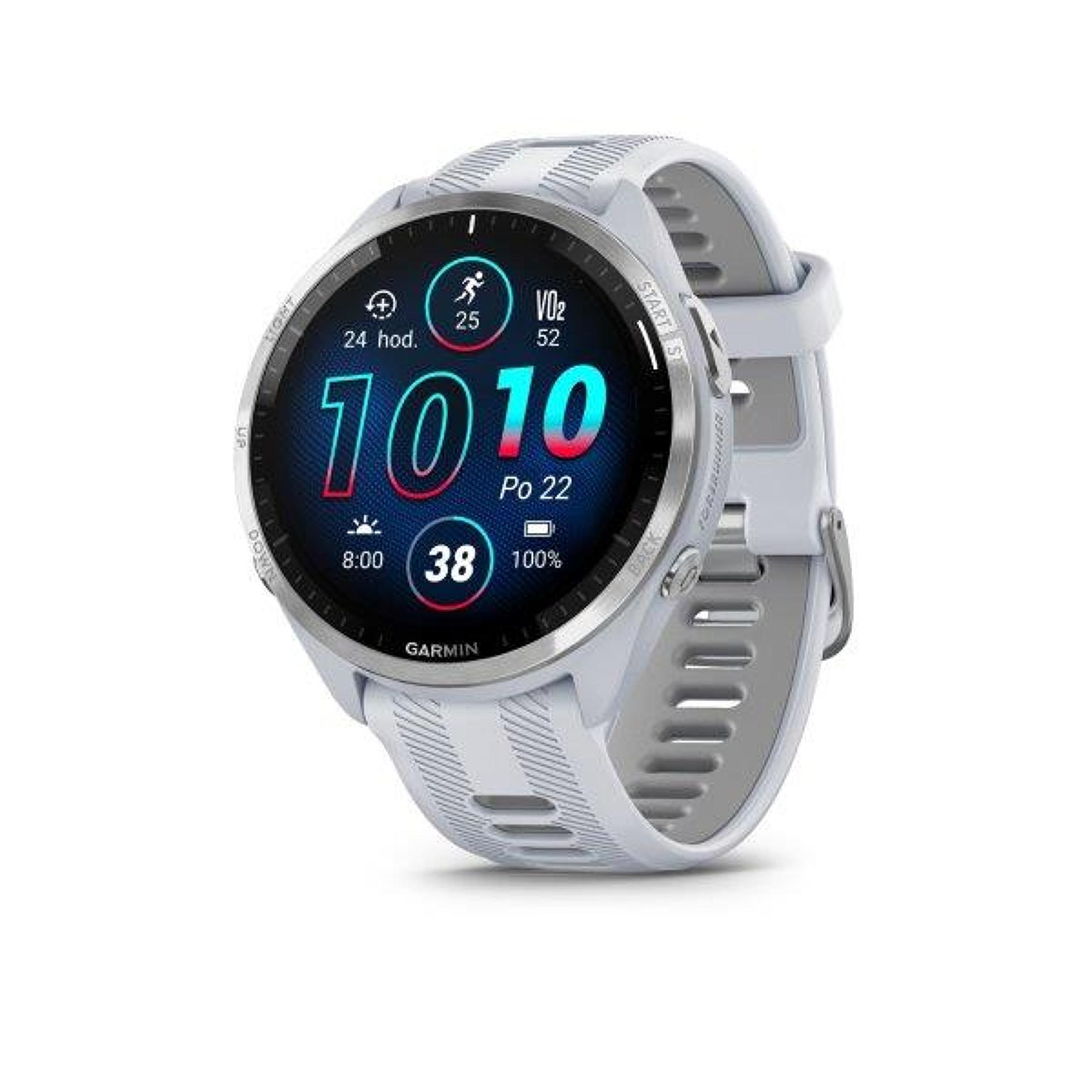 Garmin Forerunner 965 Whitestone/Powder Gray