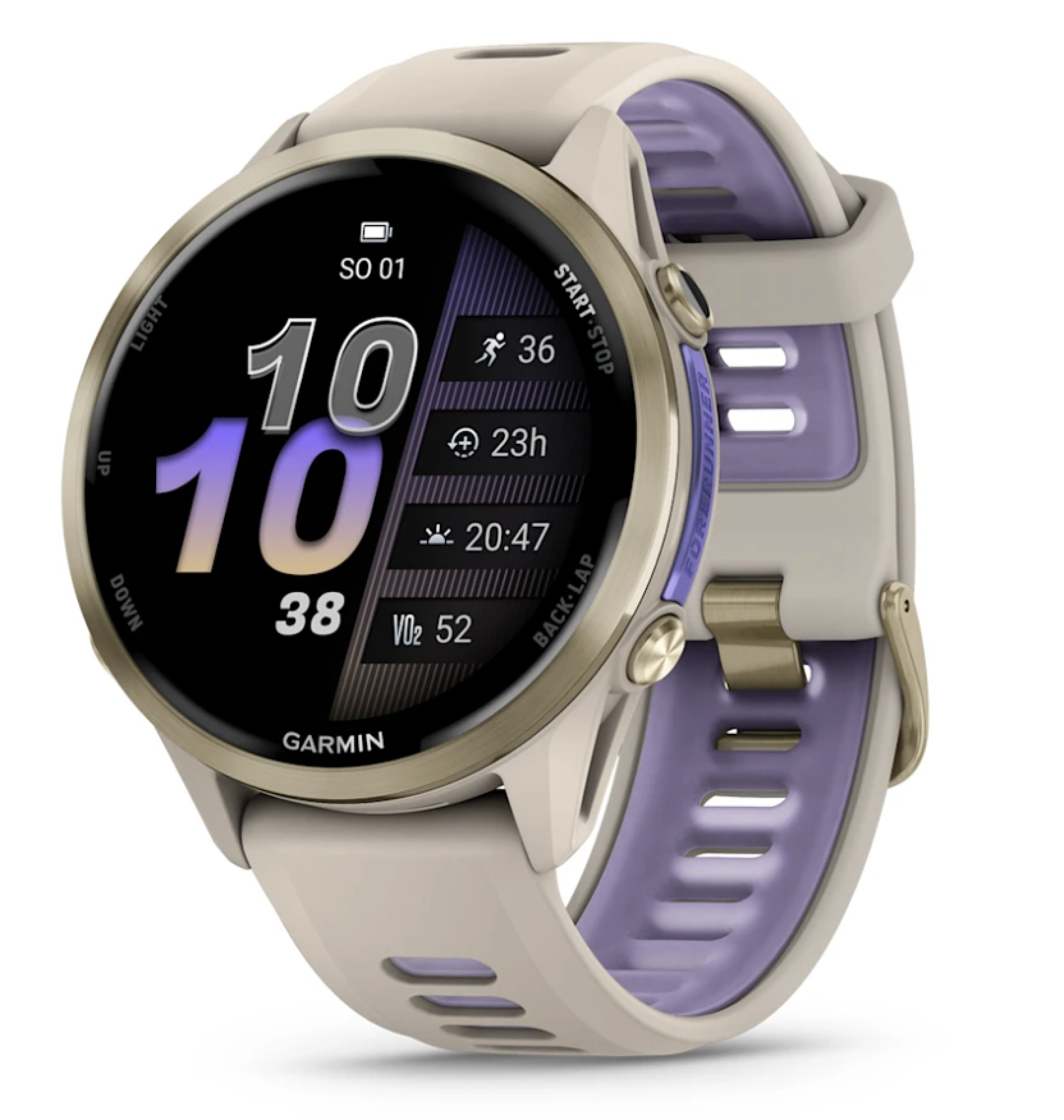 Garmin Forerunner 970 French Gray/Indigo