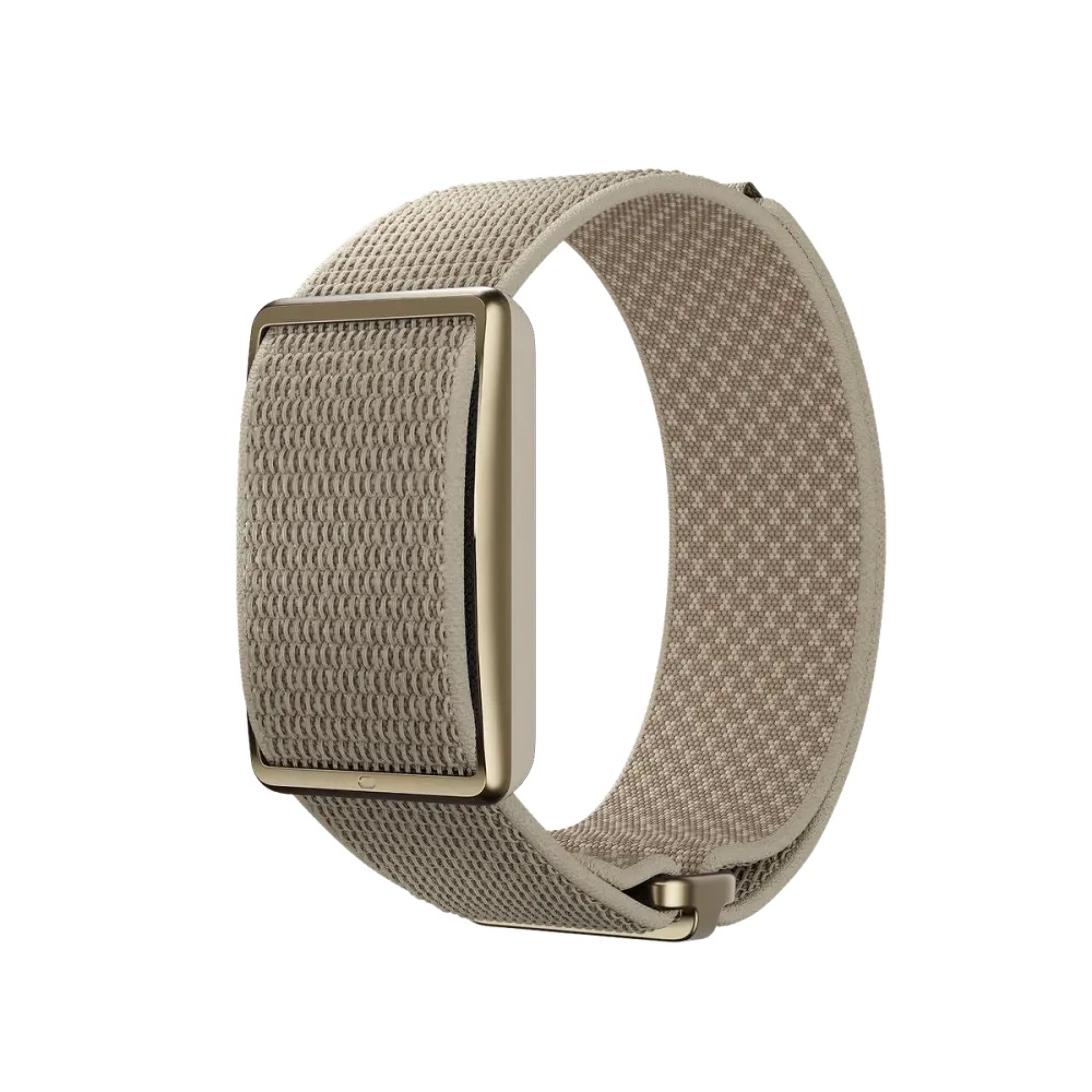 Polar Loop Greige Sand