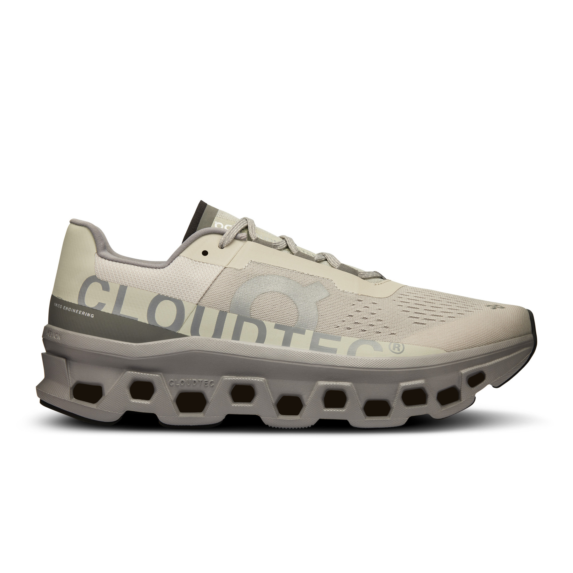 Cloudmonster Ice/Alloy M