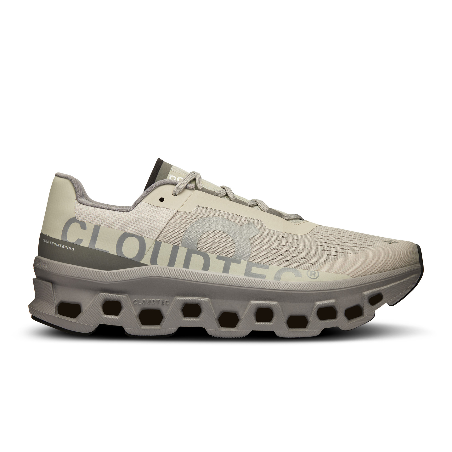 Cloudmonster Ice/Alloy M - poslední velikosti 46
